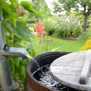 Garden Oaks Remodeling